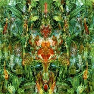 Album cover art for Emerald Aether: Shape Shifting/reconstructions Of Irish Music