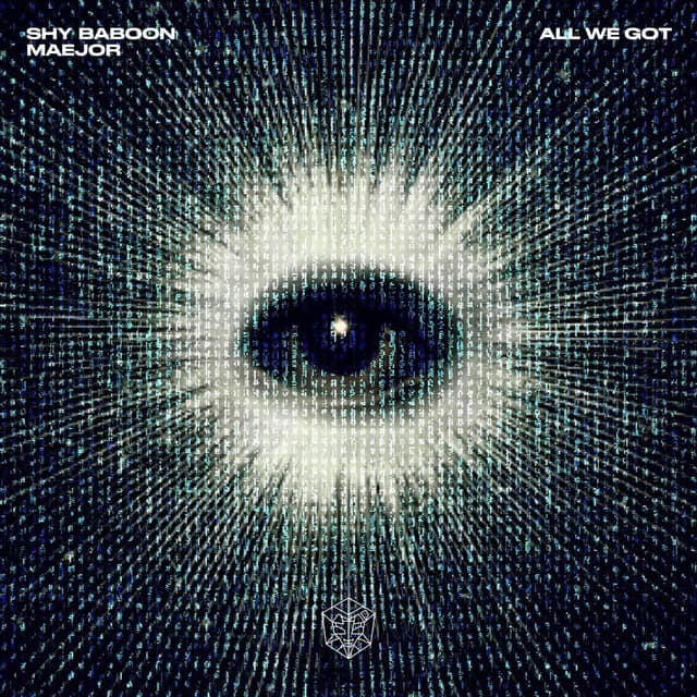 Album cover art for All We Got