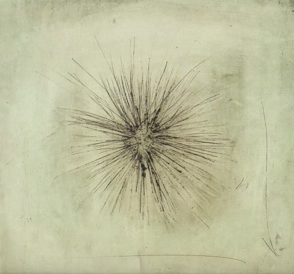 Album cover art for Αχινός
