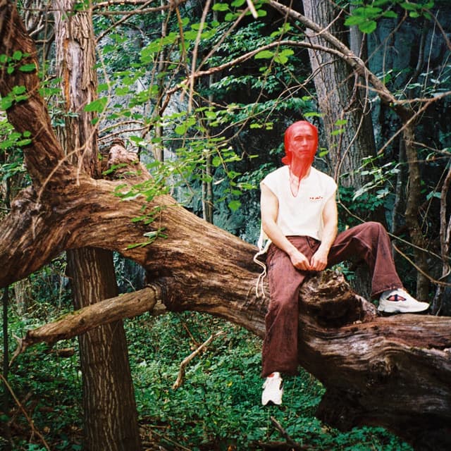Album cover art for Honest