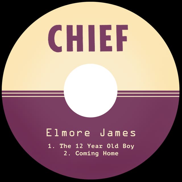 Album cover art for The 12 Year Old Boy / Coming Home