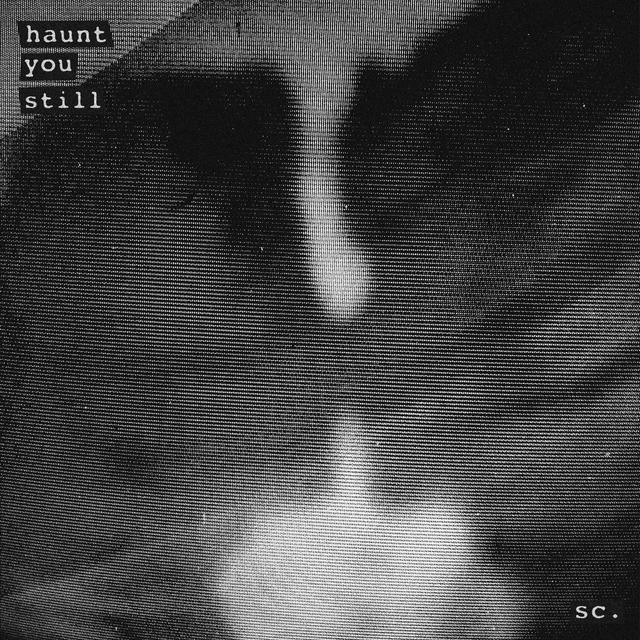 Album cover art for Haunt You Still