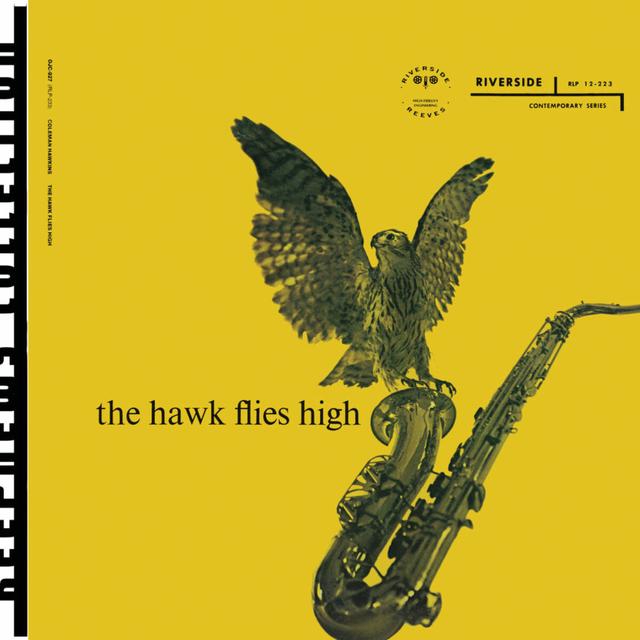 Album cover art for The Hawk Flies High