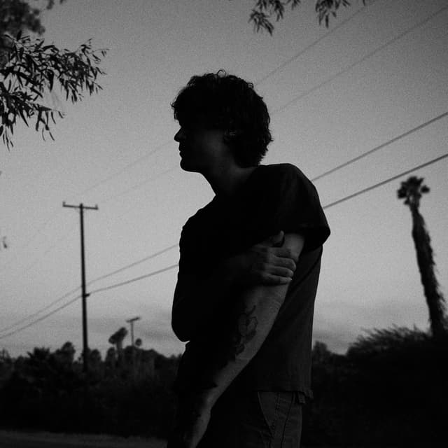Album cover art for chasing after wind