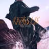 特務占士匡 Mad World