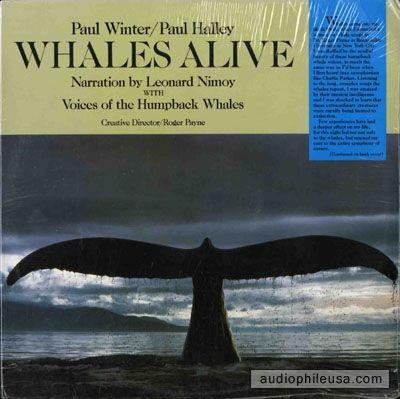 Album cover art for Whales Alive