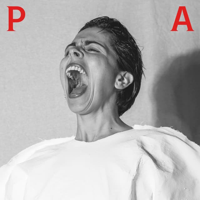 Album cover art for PA