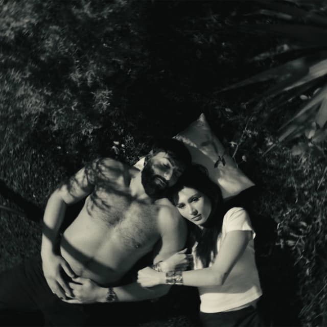 Album cover art for Voorbij