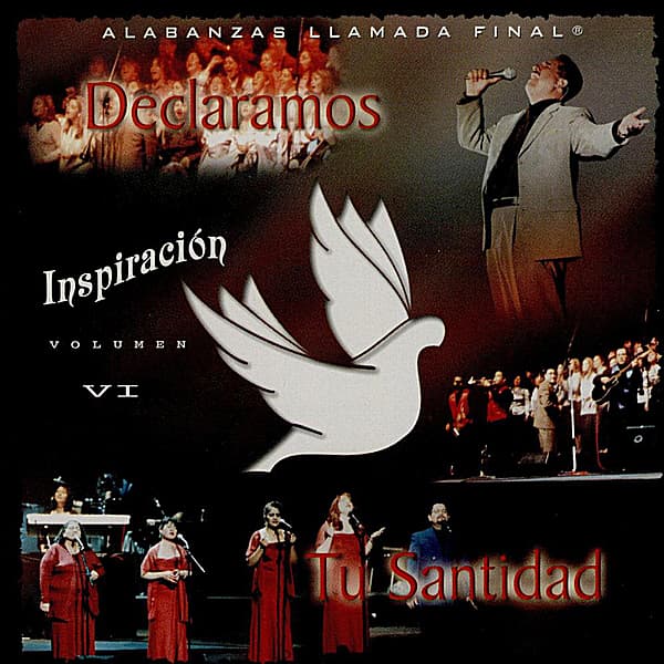 Album cover art for Declaramos Tu Santidad, Vol. 6