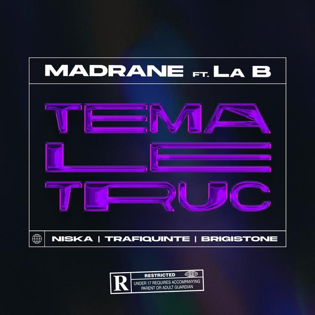 Album cover art for Téma le truc