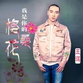 Album cover art for 我是你的格桑花