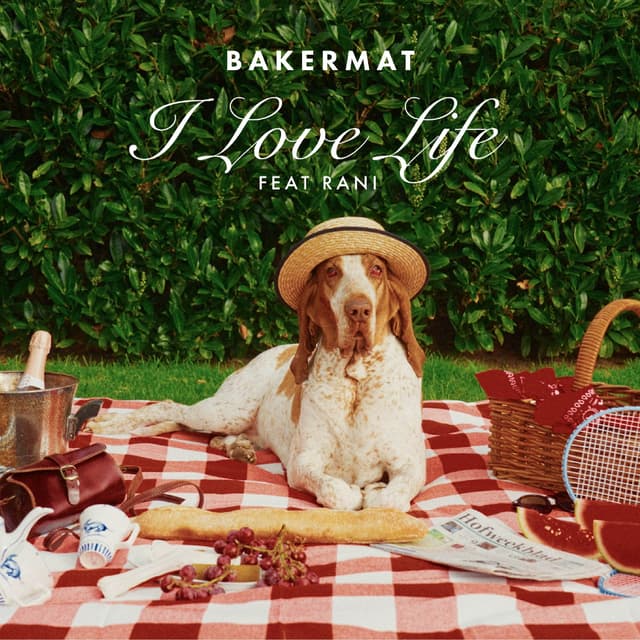 Album cover art for I Love Life