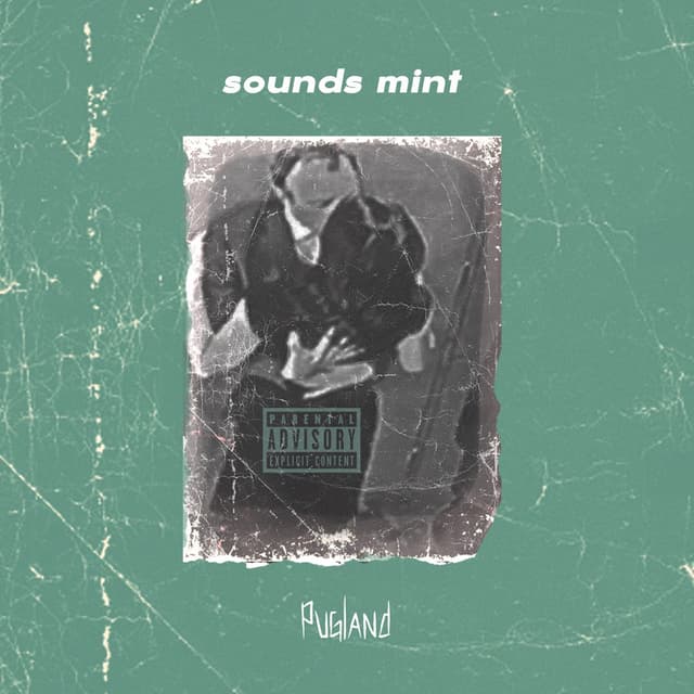 Album cover art for Pugland