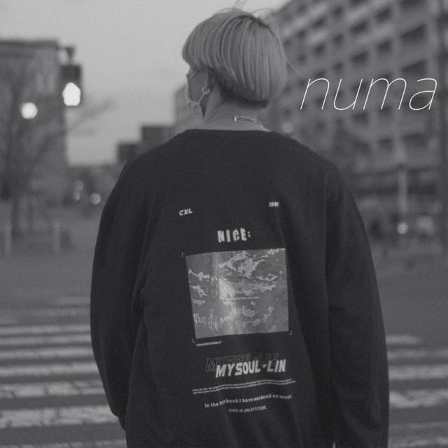 Album cover art for Numa