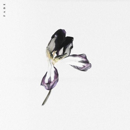 Album cover art for Fade