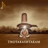 Thotakashtakam