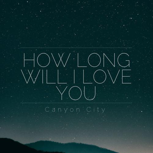 Album cover art for How Long Will I Love You