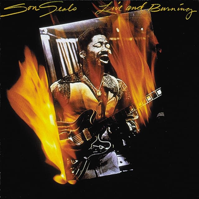 Album cover art for Live and Burning