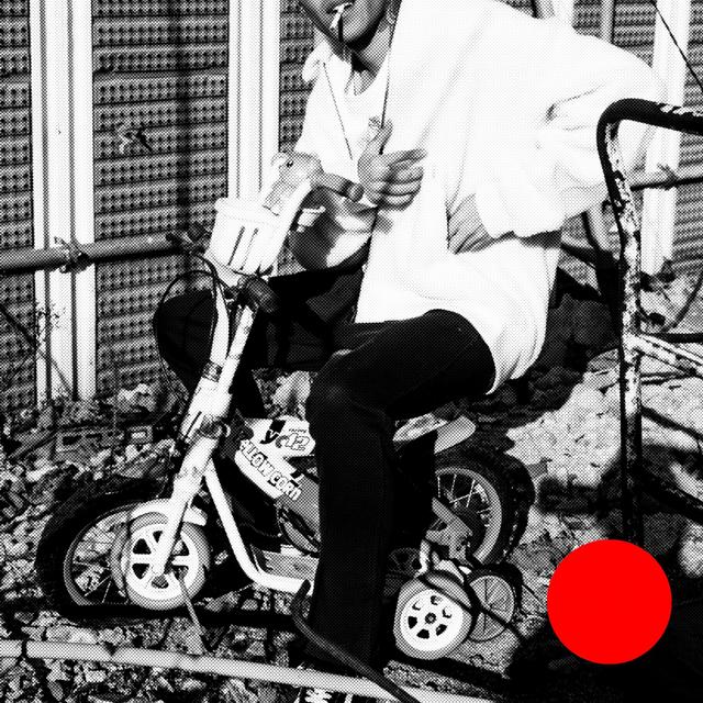Album cover art for Dog