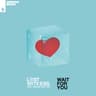 Wait for You