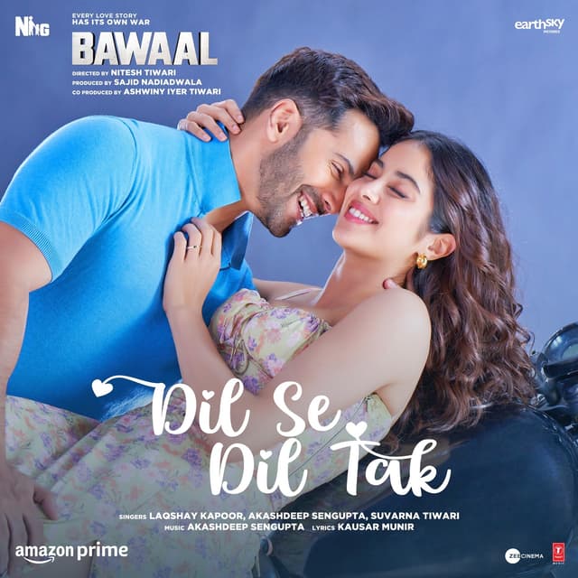 Album cover art for Dil Se Dil Tak (From “Bawaal”)