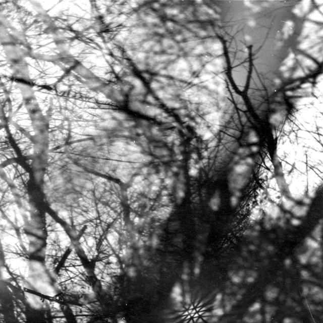 Album cover art for Way Their Crept