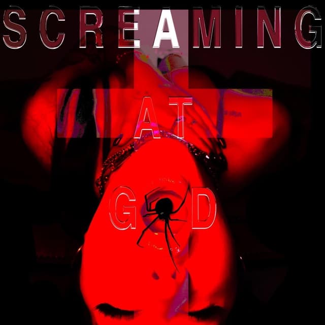 Album cover art for screaming at god