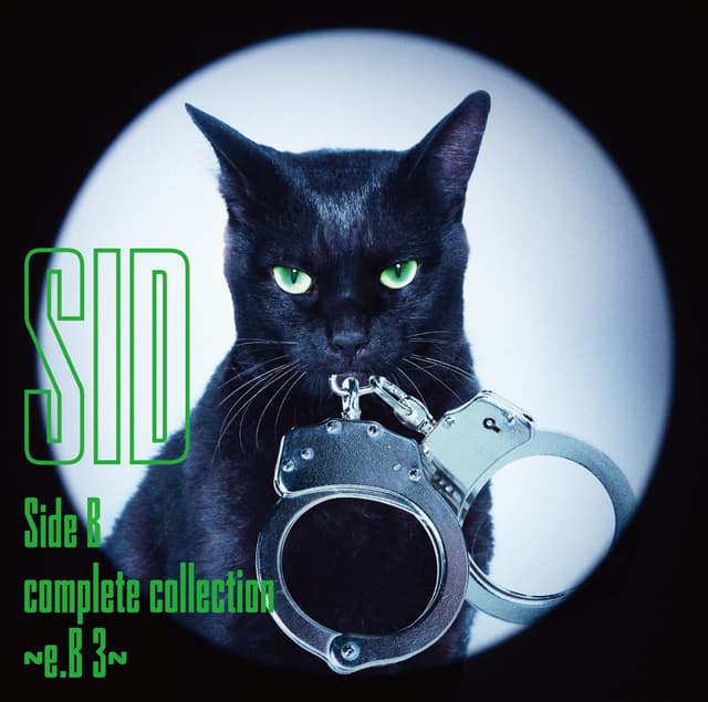 Album cover art for Side B complete collection 〜e.B 3〜