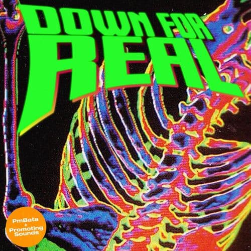 Album cover art for Down For Real