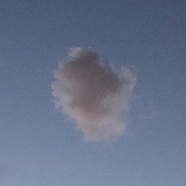 Album cover art for Mon amour