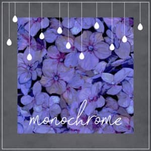 Album cover art for monochrome