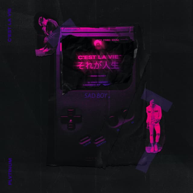 Album cover art for C’est La Vie