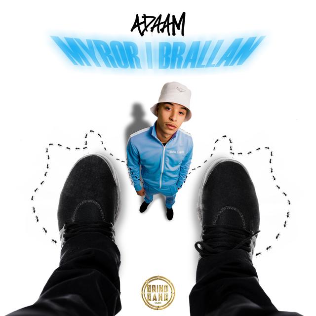 Album cover art for Myror i Brallan