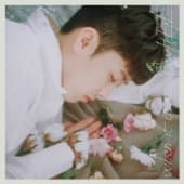 Album cover art for When It Loves
