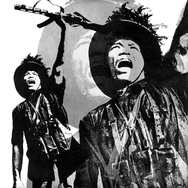 Album cover art for X Vietnam