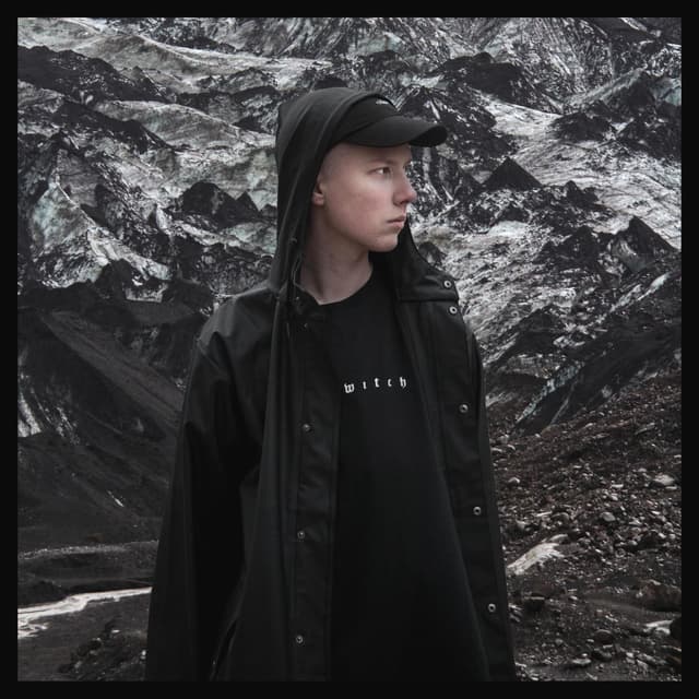 Album cover art for Vailla