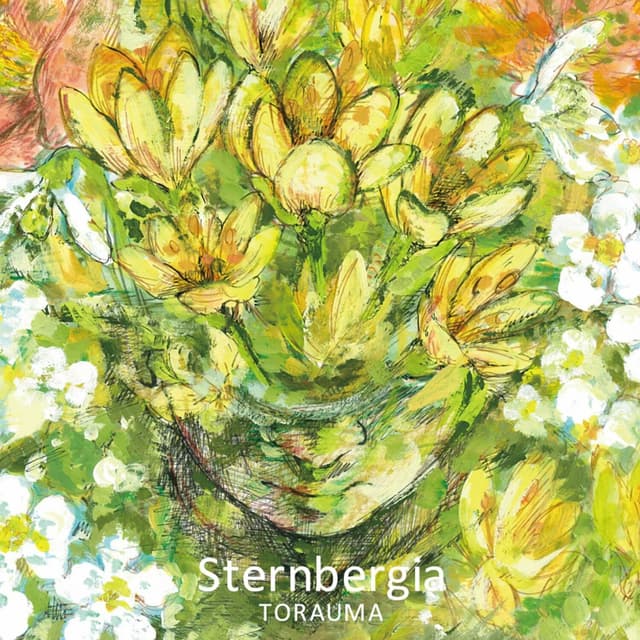 Album cover art for Sternbergia