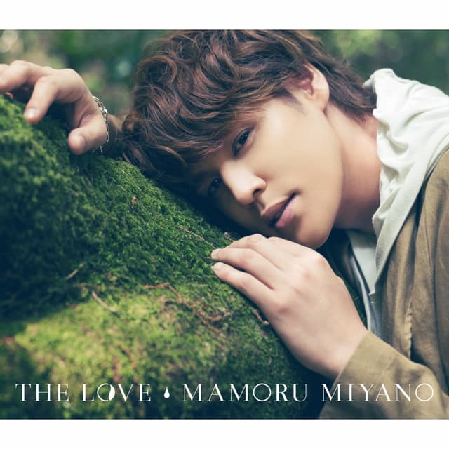 Album cover art for The Love