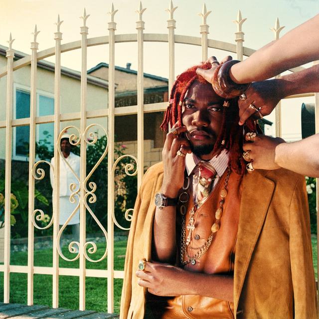 Album cover art for sankofa