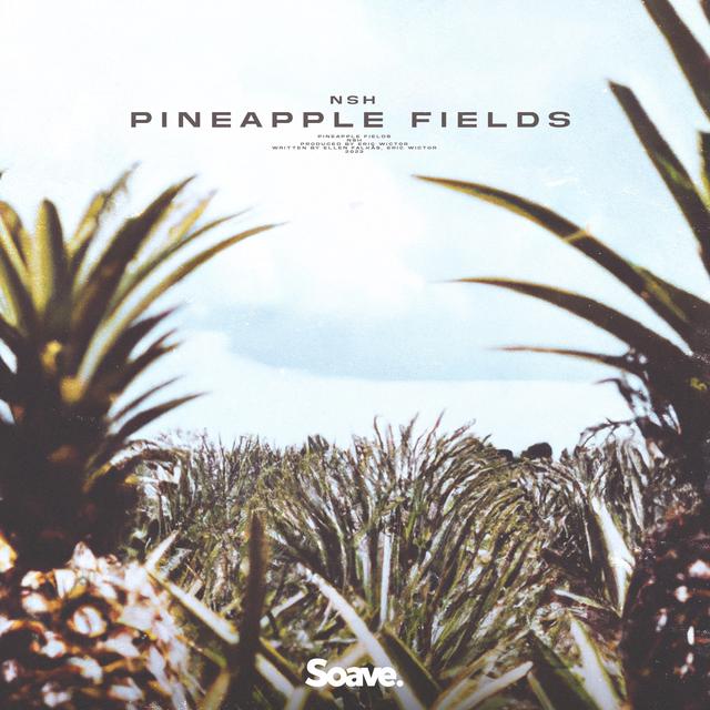 Album cover art for Pineapple Fields