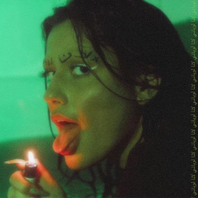 Album cover art for THE SNAKE