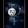 顶天立地 (Ding Tian Li Di)