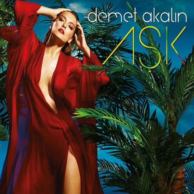 Album cover art for Aşk