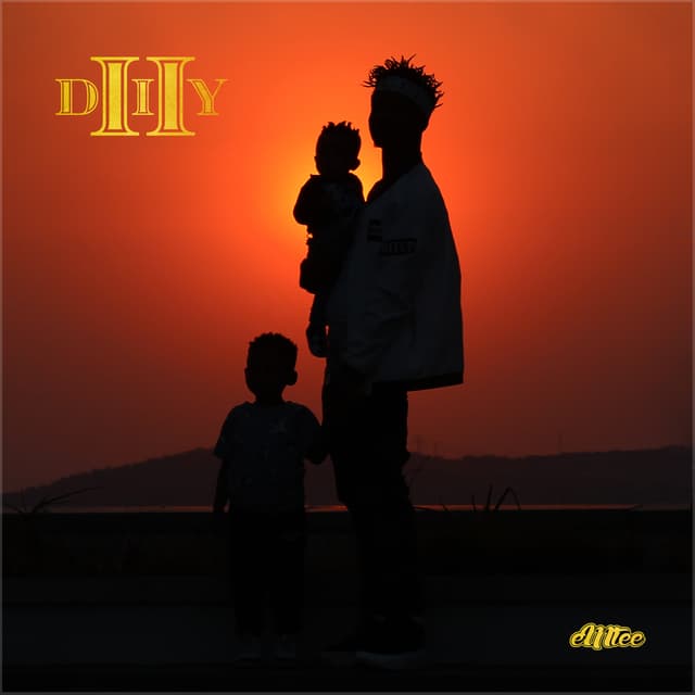 Album cover art for DIY 2