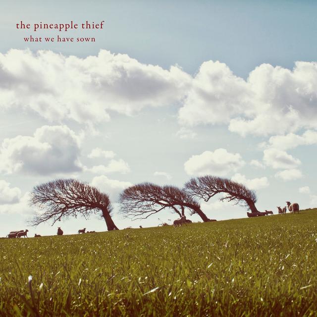Album cover art for What We Have Sown
