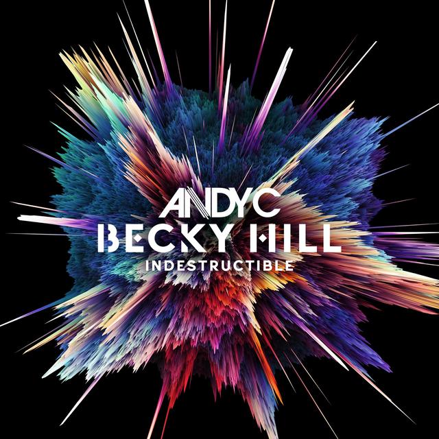 Album cover art for Indestructible