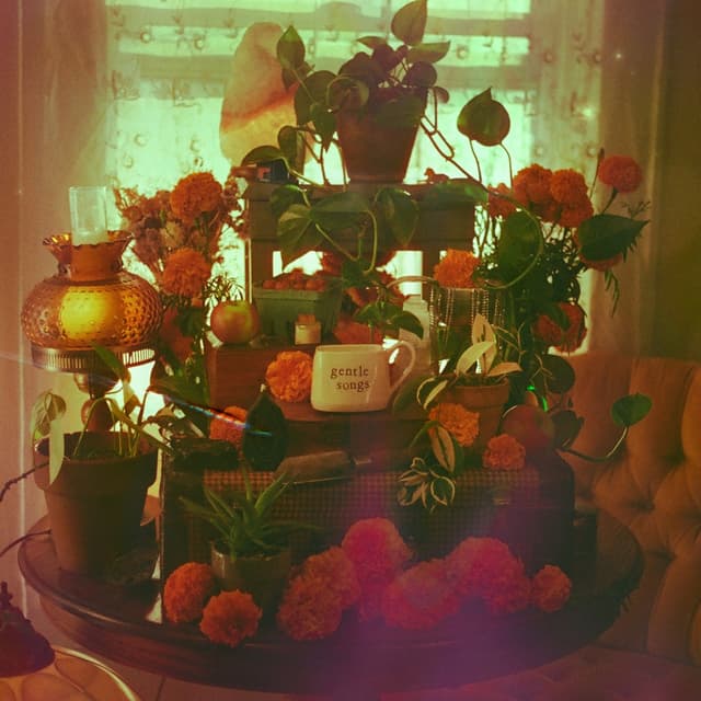 Album cover art for Gentle Songs