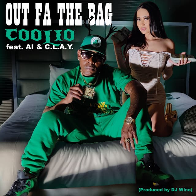 Album cover art for Out Fa the Bag