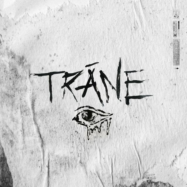 Album cover art for TRÄNE