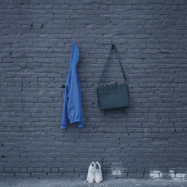 Album cover art for Why Did You Do It?